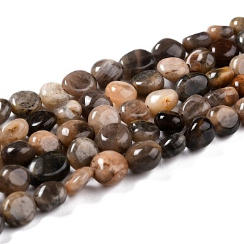 Natural Black Sunstone Beads Strands, Nuggets, Tumbled Stone, 8~11x7.5~9x4.5~7mm, Hole: 0.8mm, about 42pcs/strand, 15.94''(40.5cm)