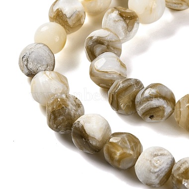 Natural Freshwater Shell Beads Strands(BSHE-S304-03)-3