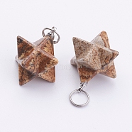 Natural Picture Jasper Pendants, with 201 Stainless Steel Split Rings, Stainless Steel Color, Merkaba Star, 22~23x16.5~17x19mm, Hole: 6mm(G-E398-02C)