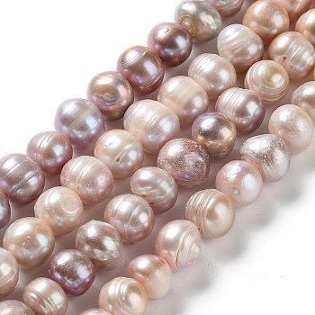 Natural Cultured Freshwater Pearl Beads Strands, Potato, Grade AB, Rosy Brown, 10~11x9~10mm, Hole: 0.6mm, about 36pcs/strand, 13.74''(34.9cm)