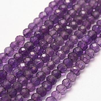Natural Amethyst Bead Strands, Faceted, Rondelle, 4x3mm, Hole: 1mm, about 102pcs/strand, 15.7 inch