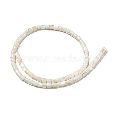 Natural Freshwater Shell Beads Strands(SHEL-H004-02)-2