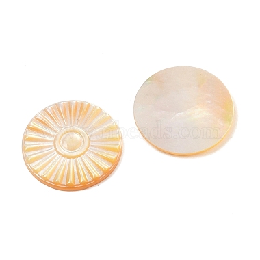 Natural Yellow Shell Carved Cabochons(SSHEL-B006-01A-A)-2