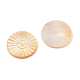Natural Yellow Shell Carved Cabochons(SSHEL-B006-01A-A)-2