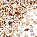 165g Natural Shell Pendants, for Jewelry Making, BurlyWood, 13.5~18x7~9x5~8mm, Hole: 1.2~2.5mm(SHEL-PA0001-05)