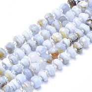 Natural Blue Lace Agate Beads Strands, Faceted, Nuggets, 10x4~7mm, Hole: 1.2mm, about 49pcs/strand, 15.55 inch(39.5cm)(G-F715-032B)