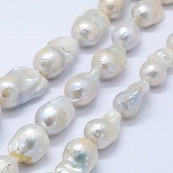 Natural Baroque Pearl Keshi Pearl Beads Strands, Cultured Freshwater Pearl, Nuggets, Creamy White, 20~30x15~19x15mm, Hole: 0.5mm, about 20pcs/strand, 15.3 inch(PEAR-K004-17)