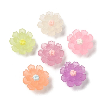 Translucent Resin Cabochons, Flower, Mixed Color, 17~18x17~18x7~7.5mm