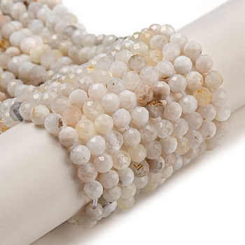Natural Rainbow Moonstone Beads Strands, Faceted, Round, 3.5mm, Hole: 0.6mm, about 104~105pcs/strand, 14.80~14.96''(37.6~38cm)