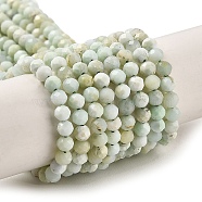Natural Green Opal Beads Strands, Faceted, Round, 3mm, Hole: 0.6mm, about 122~124pcs/strand, 15.35''(39~39.5cm)(G-Z035-A02-02A)