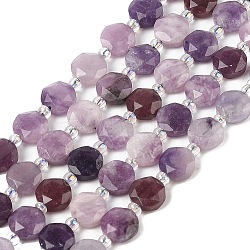 Natural Lilac Jade/Lepidolite Beads Strands, with Seed Beads, Faceted Hexagonal Cut, Flat Round, 8x3.5~4mm, Hole: 0.8mm, about 39pcs/strand, 15.31''(38.9cm)(G-N342-76B)