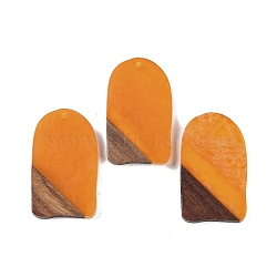 Resin & Wood Pendants, Arch Charms, Orange, 38x22.5x3.5mm, Hole: 2mm(WOOD-F015-13E)