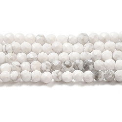 Natural Howlite Beads Strands, Round, Faceted, Grade AA, 2mm, Hole: 0.5mm, about 209pcs/strand, 15.59''(39.6cm)(G-E608-A01-A)