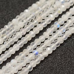 Natural Rainbow Moonstone Beads Strands, Faceted, Rondelle, 3x2mm, Hole: 0.5~0.6mm, about 129~173pcs/strand, 15.5 inch(39.5cm)(G-F460-08)