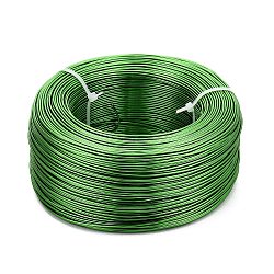 Anodized Aluminum Wire, Bendable Metal Craft Wire, Flexible Craft Wire, for Beading Jewelry Craft Making, Lime Green, 17 Gauge, 1.2mm, 140m/500g(459.3 Feet/500g)(AW-S001-1.2mm-25)