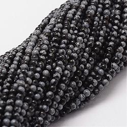 Natural Snowflake Obsidian Beads Strands, Round, 2mm, Hole: 0.5mm, about 190pcs/strand(G-N0186-01-2mm)