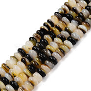 Natural Black Lip Shell Beads Strands, Rondelle, 8~8.5x4.5mm, Hole: 0.9mm, about 87~90pcs/strand, 14.96 inch~15.55 inch(38cm~39.5cm)(SSHEL-N003-150)