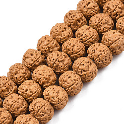Undyed Natural Rudraksha Beads, Lead Free, Round, Camel, 12x9.5mm, Hole: 1.2mm, about 114pcs/strand, 22.64 inch(57.5cm)(WOOD-Q047-01B-01)