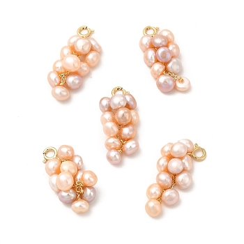 Natural Pearl Cluster Brass Spring Ring Clasp Charms, Real 14K Gold Plated, 27x14x12mm