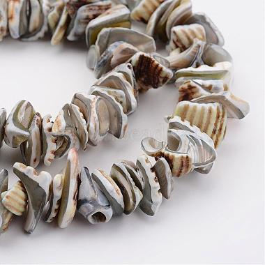 Natural Shell Bead Strands(BSHE-P010-08)-3