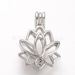 Alloy Diffuser Locket Pendants, Cage Pendants, Flower, Platinum, 25x17.5x10.5mm, Hole: 3.5x4.5mm, inner measure: 11.5x14mm(PALLOY-S062-40P)