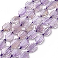 Natural Ametheyst Beads Strands, Oval, 12~14x8~9x3.5mm, Hole: 1mm, about 27pcs/strand, 16.14''(41cm)(G-P478-01)