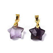 Natural Amethyst Charms, with Golden Plated Brass Findings, Faceted Star, Star: 12x12.5x5.5mm, Hole: 3.5x4mm(G-N326-142-03)