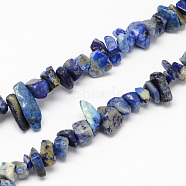 Natural Lapis Lazuli Stone Bead Strands, Chip, 4~10x4~6x2~4mm, Hole: 1mm, about 210pcs/strand, 35.4 inch(G-R192-13)