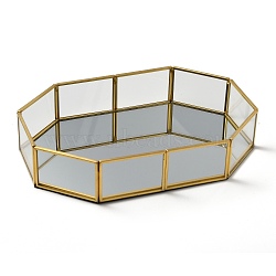 Glass Tray Mirror, Storage Tray, with Golden Plated Brass Edge, Cosmetics Jewelry Organizer, Octagon, Clear, 21x14.1x4.1cm(CON-Z002-G01)