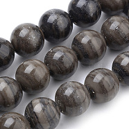 Natural Wood Lace Stone Beads Strands, Round, 10mm, Hole: 1mm, about 40pcs/strand, 15.7 inch(G-S259-40-10mm)