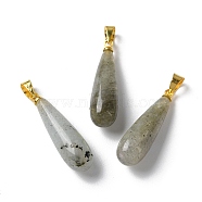 Natural Labradorite Teardrop Pendants, with Ion Plating(IP) Golden Plated Brass Findings, 26.5x7.5mm, Hole: 4.3x3.5mm(G-Q005-03G-07)