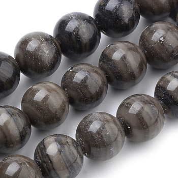 Natural Wood Lace Stone Beads Strands, Round, 10mm, Hole: 1mm, about 40pcs/strand, 15.7 inch