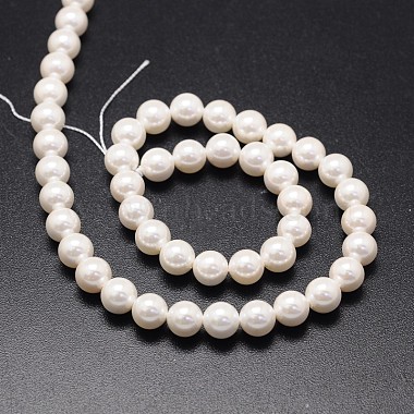 Shell Pearl Beads Strands(X-BSHE-E008-10mm-12)-2