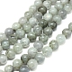 Natural Labradorite Beads Strands(G-G828-01-10mm)-1