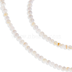 Natural Shell Beads Strands, Freshwater Shell Beads, Round, Seashell Color, 2.5mm, Hole: 0.4mm, about 167pcs/strand, 15.04inch(38.2cm), 2 strands/set(SSHEL-HS0001-02A)