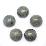 Natural Labradorite Cabochons, Half Round, 4x2~4mm(G-P393-R47-4MM)