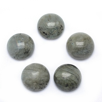 Natural Labradorite Cabochons, Half Round, 4x2~4mm