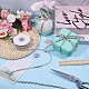 2 Rolls Polyester Ribbon(OCOR-GL0001-31B)-5