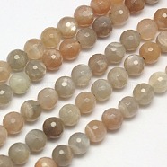 Natural Multi-Moonstone Beads Strands, Faceted, Round, 6mm, Hole: 1mm, about 65pcs/strand, 15.7 inch(G-J157-6mm-10)