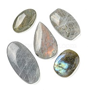 Natural Labradorite Cabochons, Mixed Shapes, 26.5~43.5x16.5~22.5x5.5~7mm(G-Q191-03)