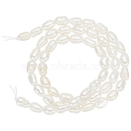 Elite 1 Strand Natural Cultured Freshwater Pearl Beads Strands, Rice, Seashell Color, 3.5~5x3.5~4.5mm, Hole: 0.6mm, about 73~86pcs/strand, 13.70inch~13.78inch(34.8cm~35cm)(PEAR-PH0001-16)