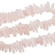 Natural Rose Quartz Chips Beads Strands, 12~22x5~7mm, Hole: 1mm, 15.98''(40.6cm), 1 strand/box(G-OC0003-59)