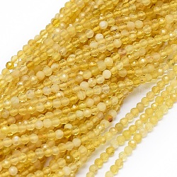 Natural Yellow Opal Beads Strands, Faceted, Round, 2mm, Hole: 0.5mm, about 170pcs/strand, 15.4 inch(39.3cm)(G-O180-05B)