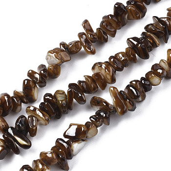 Natural Freshwater Shell Beads Strands, Dyed, Chips, Coconut Brown, 2~6x4~14x4.5~8.5mm, Hole: 0.7~0.8mm, about 258~292pcs/strand, 31.10 inch~32.05 inch(79cm~81.4cm)