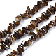 Natural Freshwater Shell Beads Strands(SHEL-S278-070A)-1