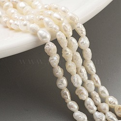 Natural Keshi Pearl Cultured Freshwater Pearl Beads Strands, Baroque Pearls, Grade 3A, Rice, Snow, 2~3mm, Hole: 0.3mm, about 37pcs/strand, 7.09''(18cm)(PEAR-P062-19)