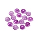 Backfarbe(GL-N006-01A-03)-1