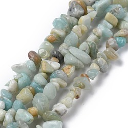 Natural Flower Amazonite Chip Bead Strands, 5~8x5~8mm, Hole: 1mm, about 31.5 inch(X-G-M205-12)