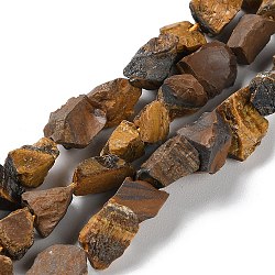 Raw Rough Natural Tiger Eye Beads Strands, Nuggets, 4~11x4.5~14.5x4.5~14.5mm, Hole: 0.8mm, about 41~43pcs/strand, 15.35~15.94''(39~40.5cm)(G-B065-C05)