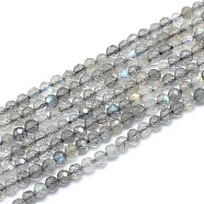Natural Labradorite Beads Strands, Faceted, Round, 4~4.5mm, Hole: 0.7mm, about 88~104 pcs/Strand, 15.15 inch(38.5cm)(G-D0003-E86-4MM)